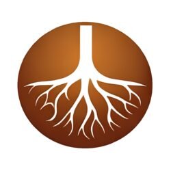 Maillon 1 – Ancrage & Réalité