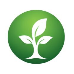 Maillon 2 – Évolution & Direction